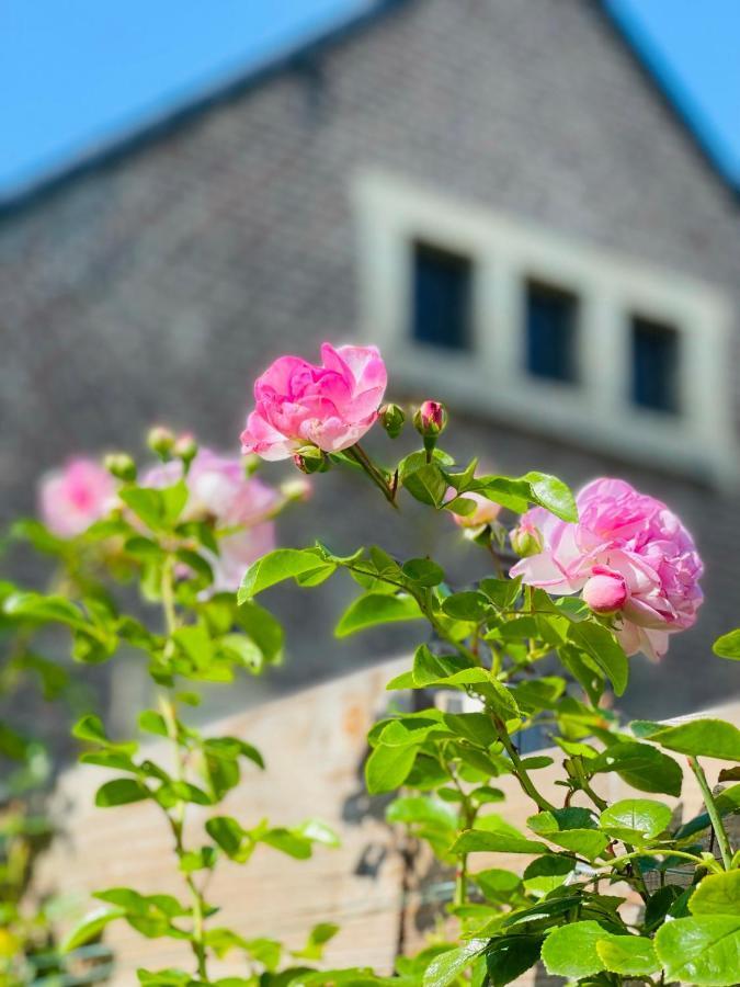 WahlwillerA Little Peace And Quiet住宿加早餐旅馆 外观 照片
